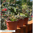 Kit 6 Vaso Plantas Autoirrigável Vaso Antidengue Auto Irrigável Flores Hortas Vaso Escolha as Cores
