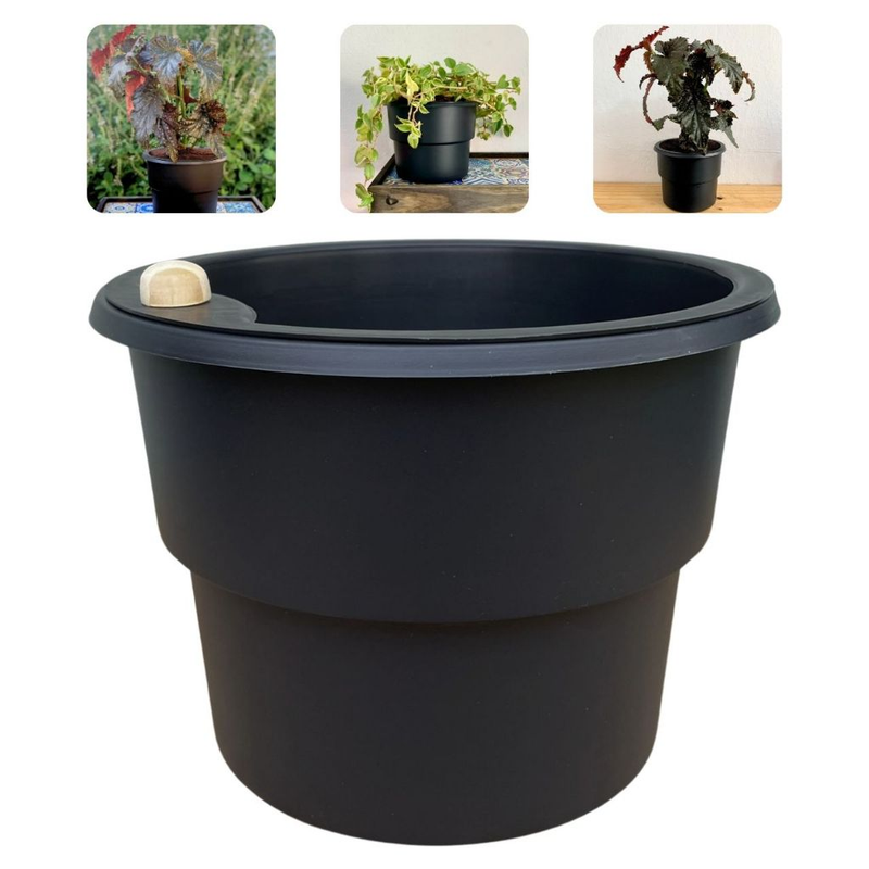 Kit 6 Vaso Plantas Autoirrigável Vaso Antidengue Auto Irrigável Flores Hortas Vaso Escolha as Cores